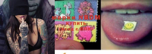 индика Алексеевка