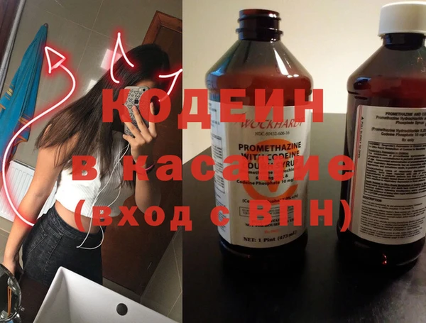 индика Алексеевка