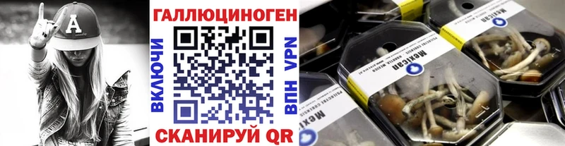 Галлюциногенные грибы мицелий  Анива 